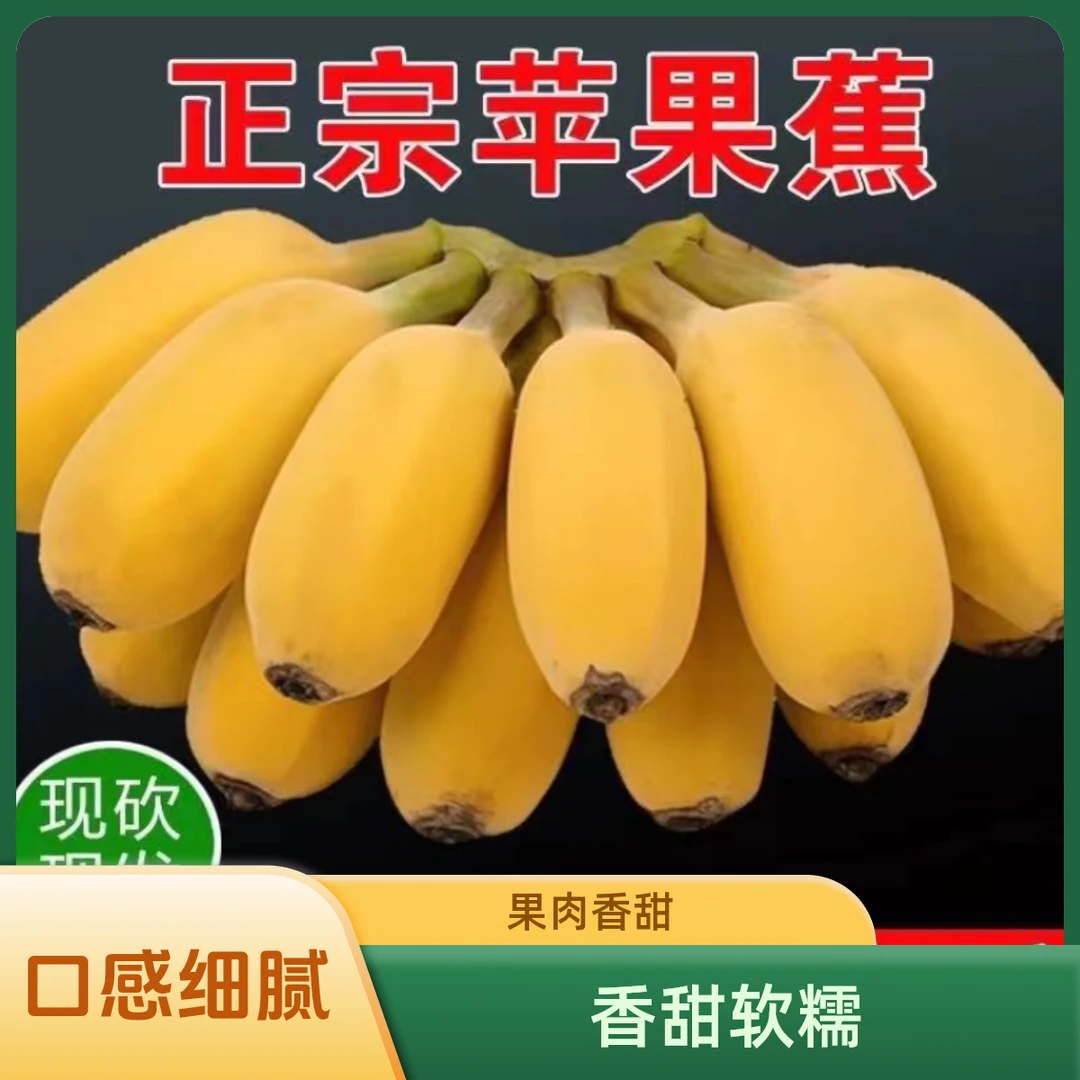 正宗苹果香广西苹果蕉软糯香甜食用家常五斤八斤