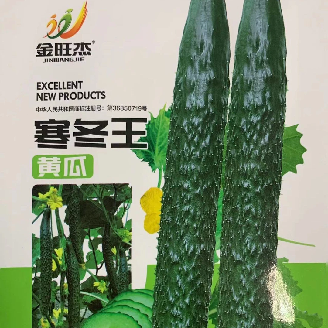 寒冬王黄瓜青瓜青皮黄瓜豆角非转基因黄瓜子秋冬季黄瓜种子大全