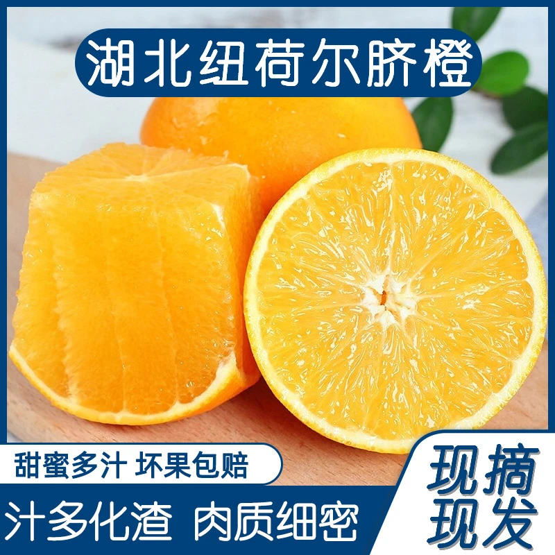 宜昌秭归脐橙 纽荷尔 50斤/90斤  送5斤/9斤花果
