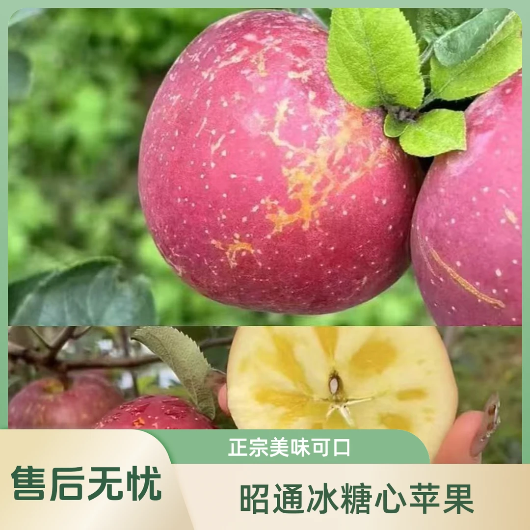 正宗昭通冰糖心丑苹果