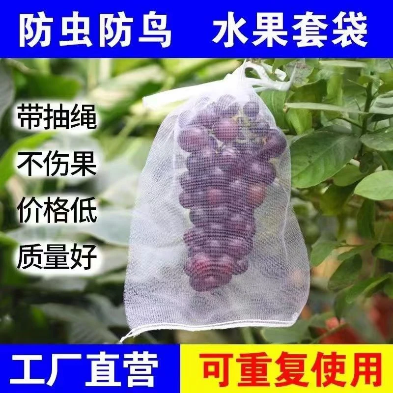 套水果蔬菜袋子葡萄套袋专用网套保护套防虫防鸟网袋尼龙无防布