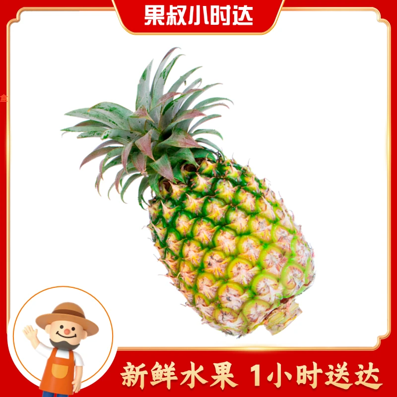 果切果切约450g高山香蜜凤梨AAA