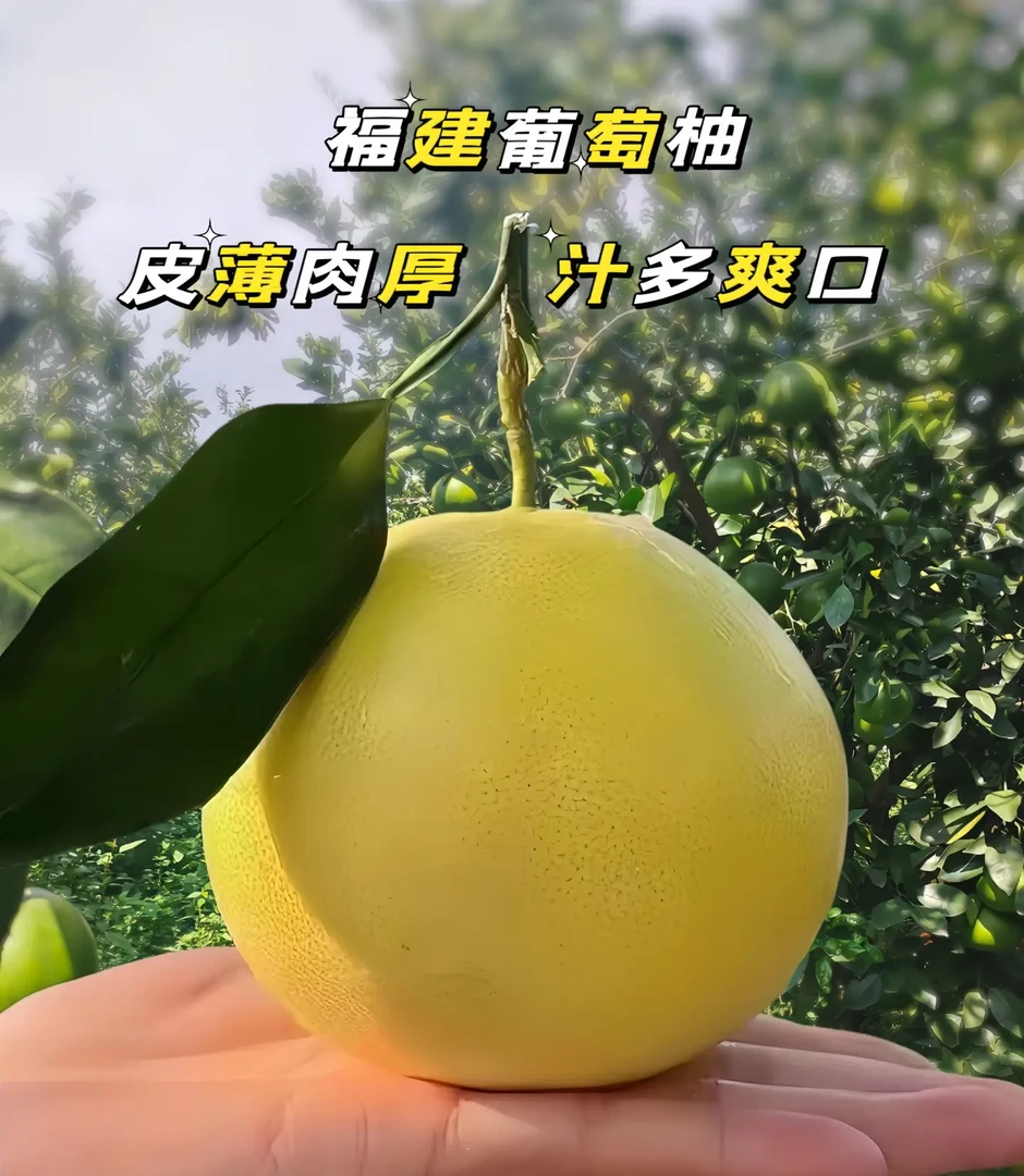 葡萄柚爆汁9.9四个