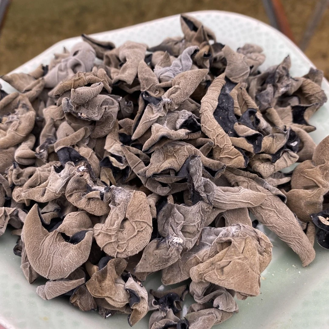 庆元小秋耳100g-500g云耳凉拌婉耳自产散装天然晒干黑木耳