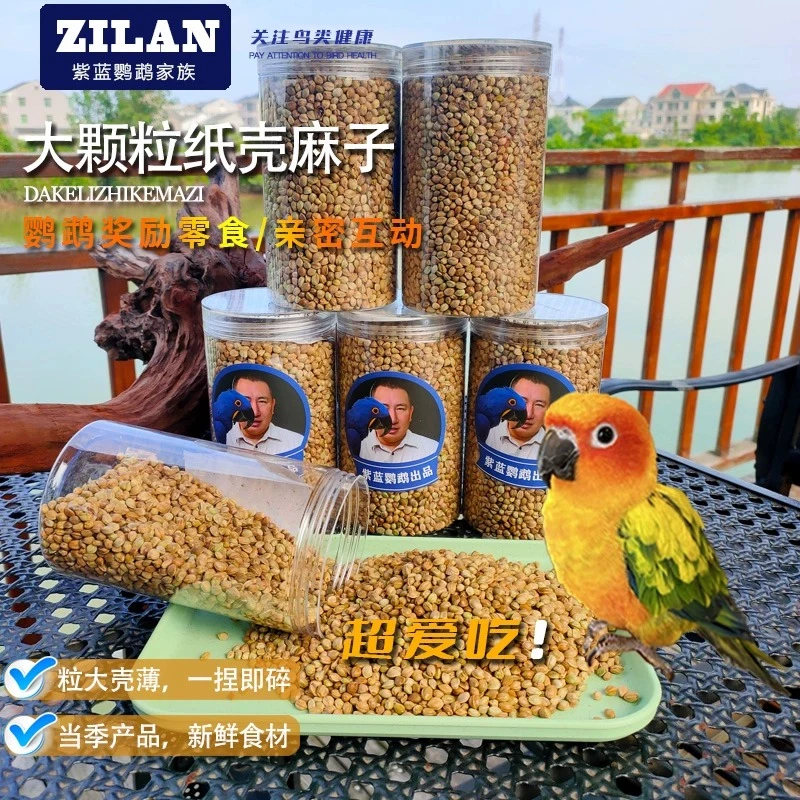大颗粒薄皮纸壳麻子小太金太和尚玄凤牡丹鹦鹉训练奖励零食增肥