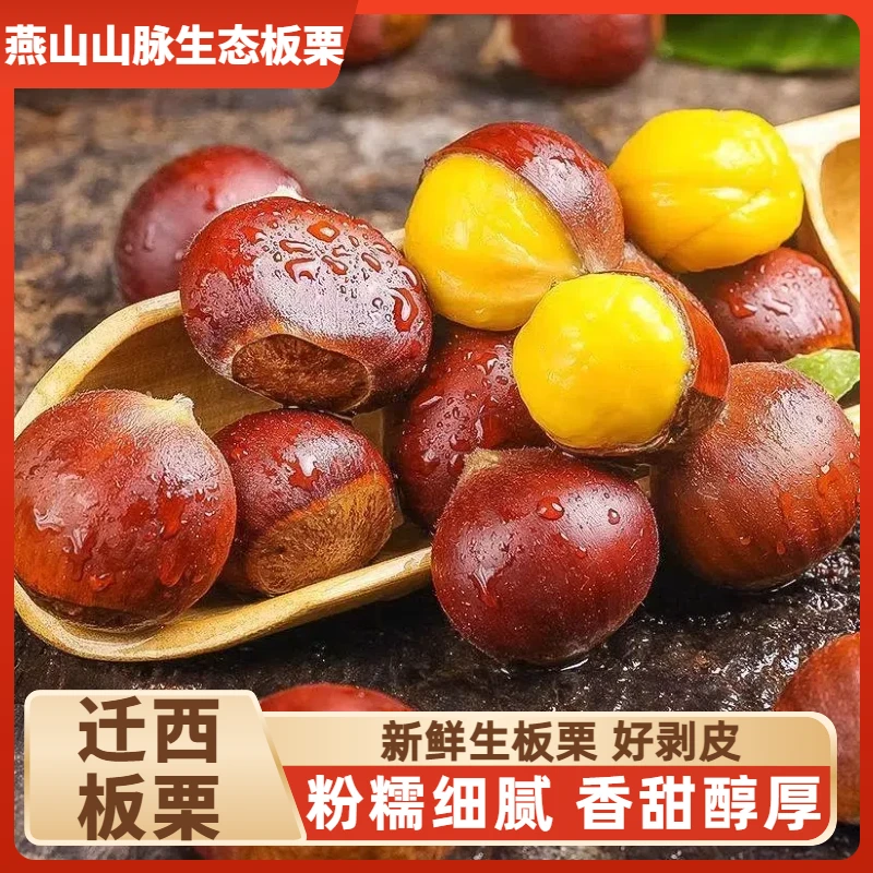 唐山正宗迁西板栗百年老树新鲜栗子薄皮易剥粉糯香甜当季板栗