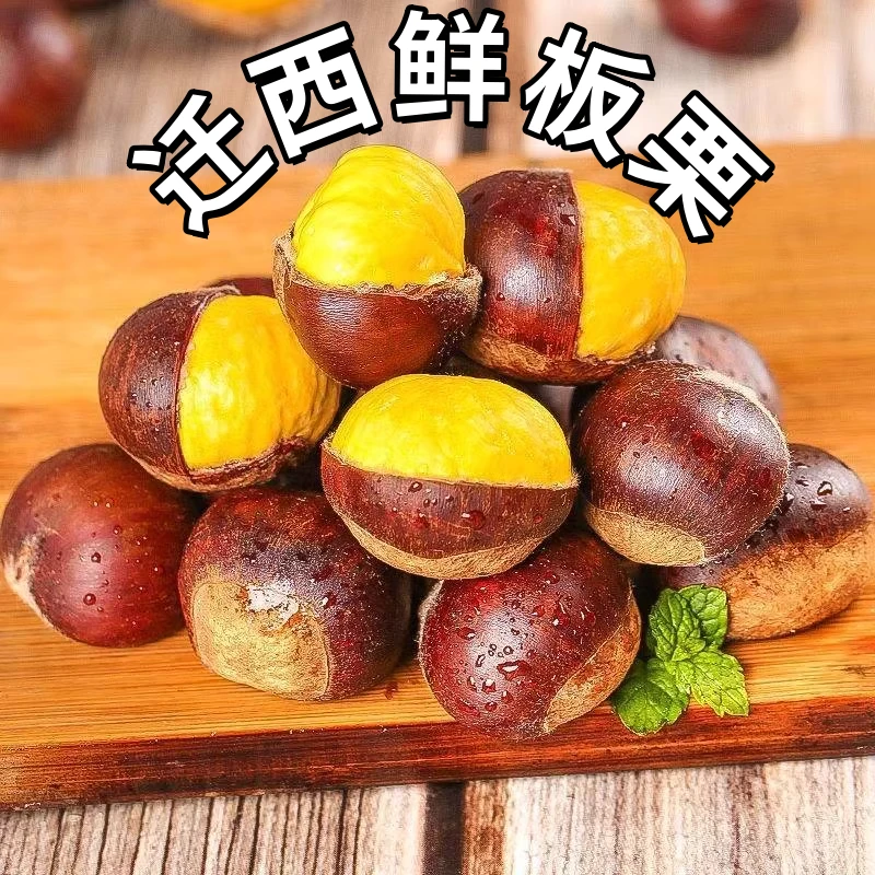 迁西鲜板栗新鲜2024年新鲜板栗栗子生新鲜板栗生板栗燕山板栗新货