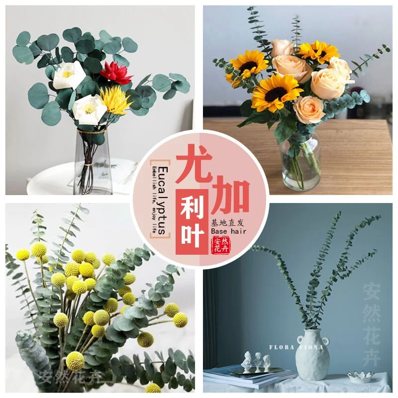 【永生尤加利叶云南鲜花制作而成】花店花材，家庭插花，婚庆软装