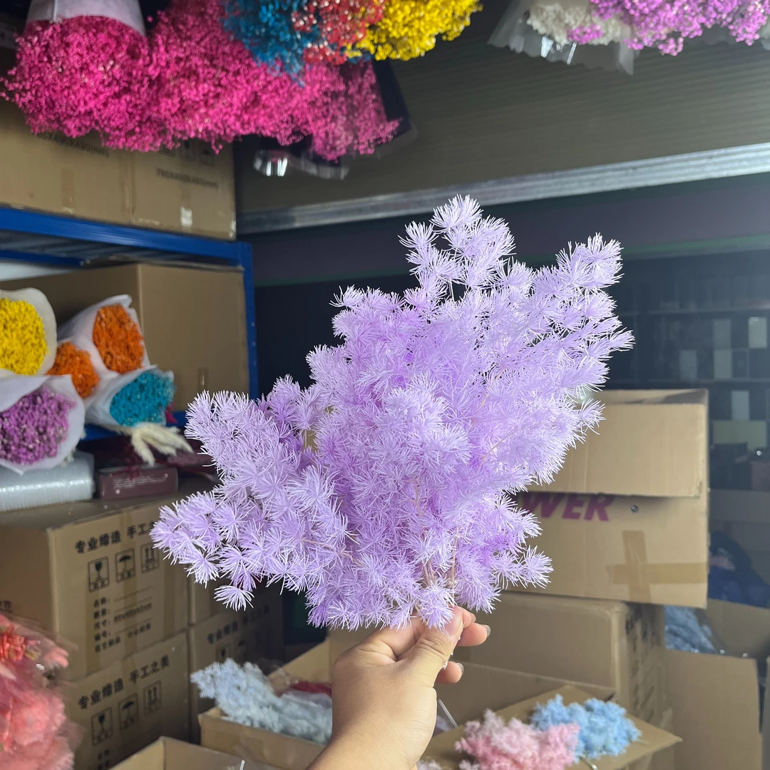 短花蓬莱长度3-8厘米比较多【两单包邮】高性价比材料蓬莱松永生花