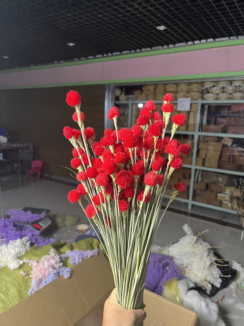 千日红干花手工花草莓果天然风干花店批发保鲜装饰摆设高级干花