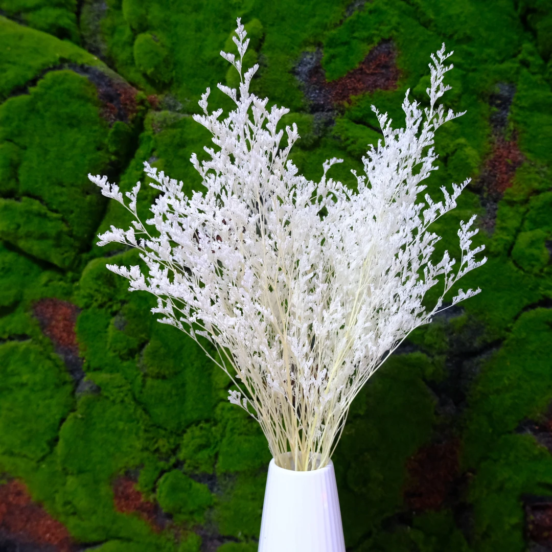 永生情人草云南鲜花制作花店花材，家居插花装饰摆件干花天然观赏