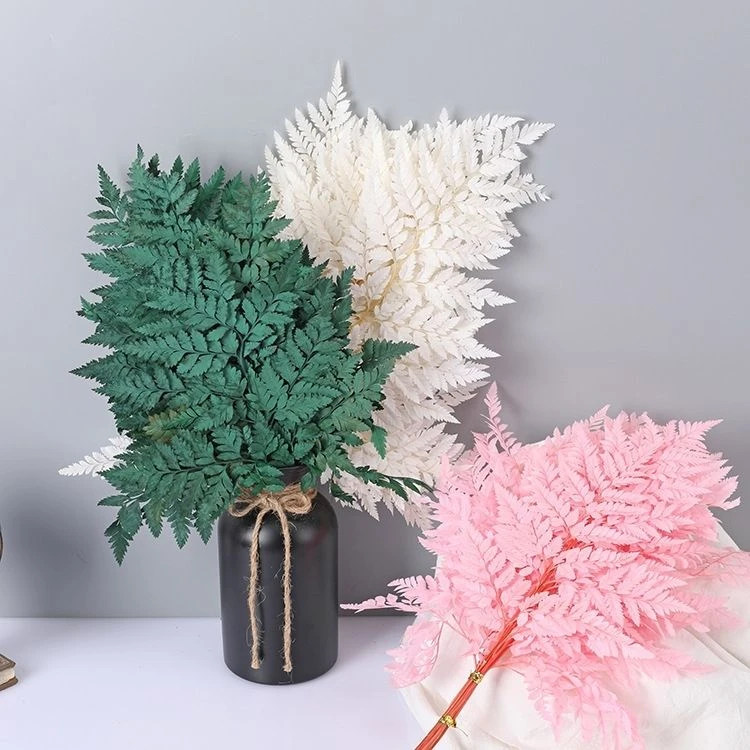 永生花高山羊齿10片/包花店花材手工家庭插花婚庆保鲜节日花持久