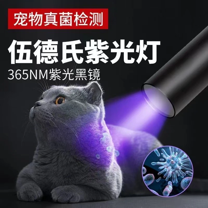 强光手电筒小型多功能超亮可充电激光照射荧光剂检测用途笔紫光灯