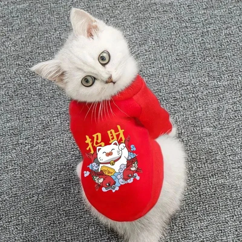 喜庆宠物衣服不掉毛秋冬款猫猫小型幼犬柯基博美防冻招财猫咪卫yj