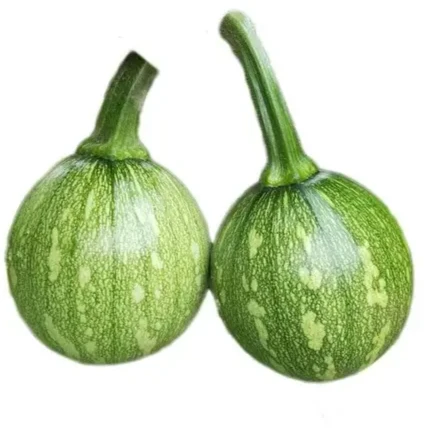 仔南瓜约500g南瓜同城送