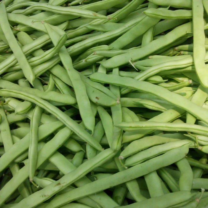 四季豆500g