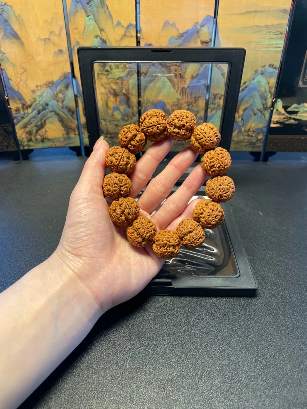 新品上架，九五梅花金刚菩提6号