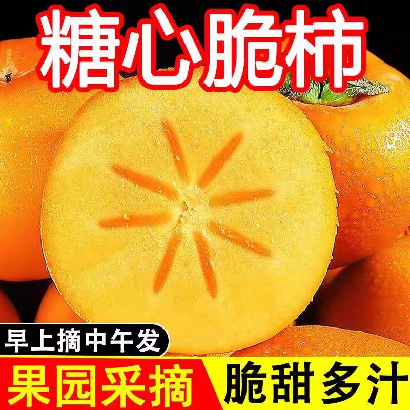 【阳丰脆甜柿】纯甜不涩净重5斤巧克力脆柿（削皮口感更佳）