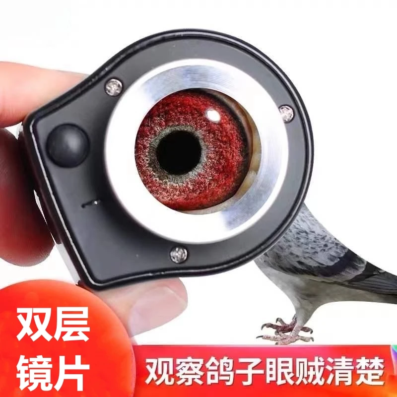 高倍数高清鸽眼放大镜带LED灯全金属看布料高倍刻度鸽子显微镜