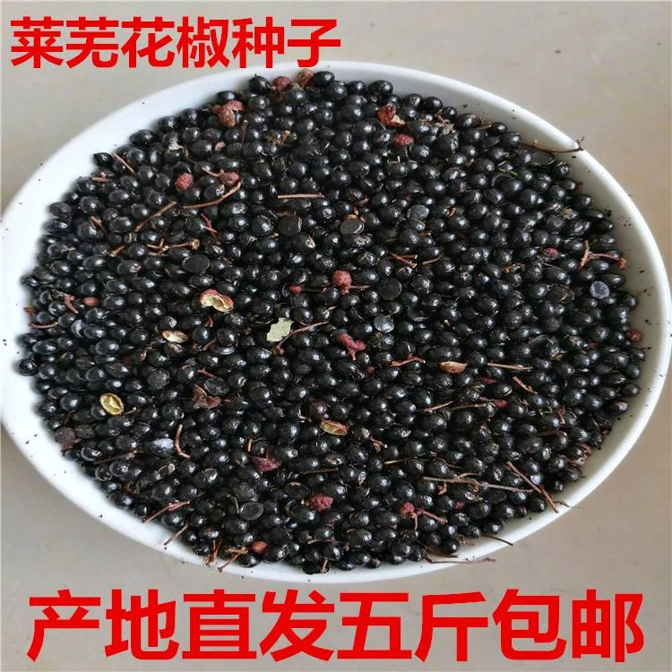 鸽粮花椒籽花椒种子新大红袍花椒子野生专用泡脚育苗榨油喂鸡肥料