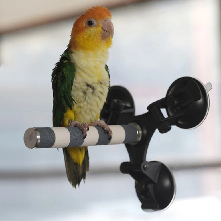 新款鹦鹉站棍吸盘玻璃站架子站杆虎皮玄风牡丹便携式互动站台玩具