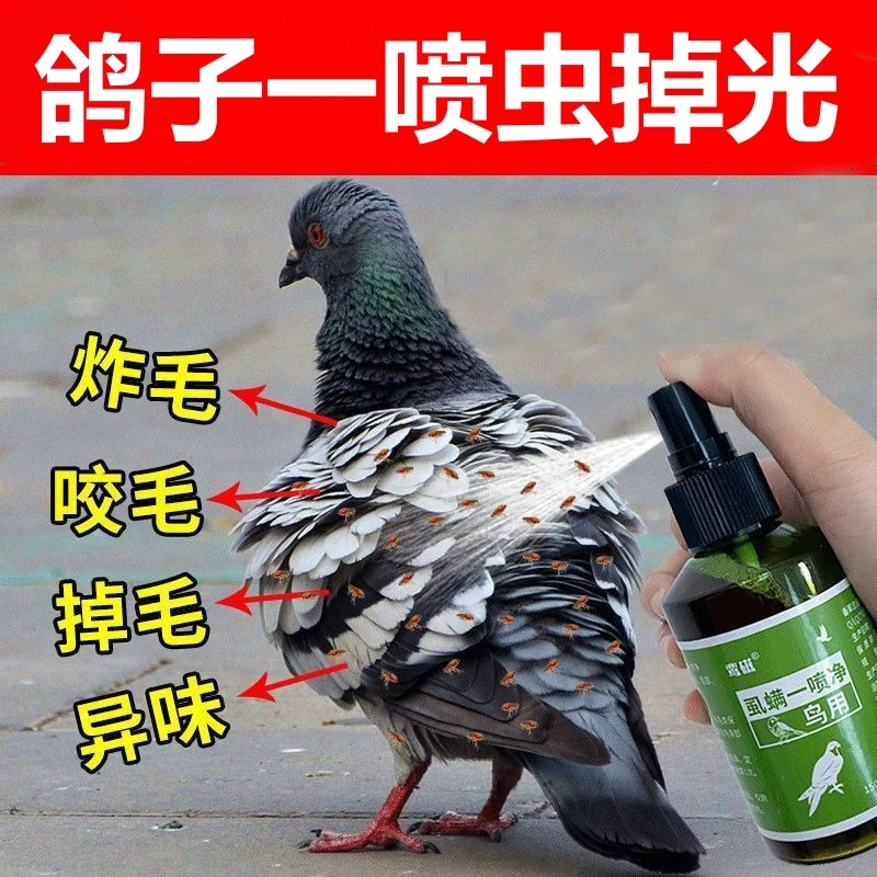 鸽子体外驱虫喷剂虱螨一喷净赛鸽虎皮鹦鹉信鸽除羽虱螨虫体外喷雾