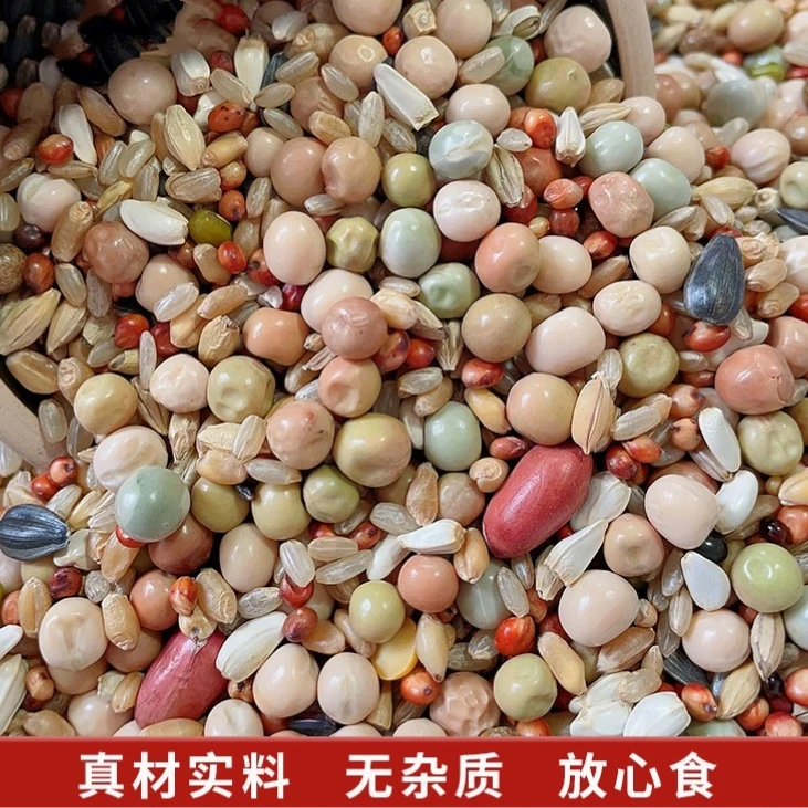 5斤鸽子粮无玉米鸽粮食营养饲料鸟食信鸽观赏鸽肉鸽幼鸽成鸽粮