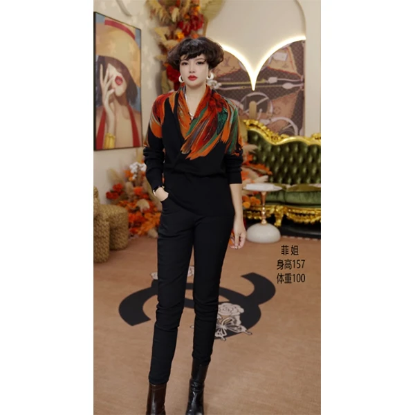 Q813 时尚显瘦气质秋冬洋气长袖上衣