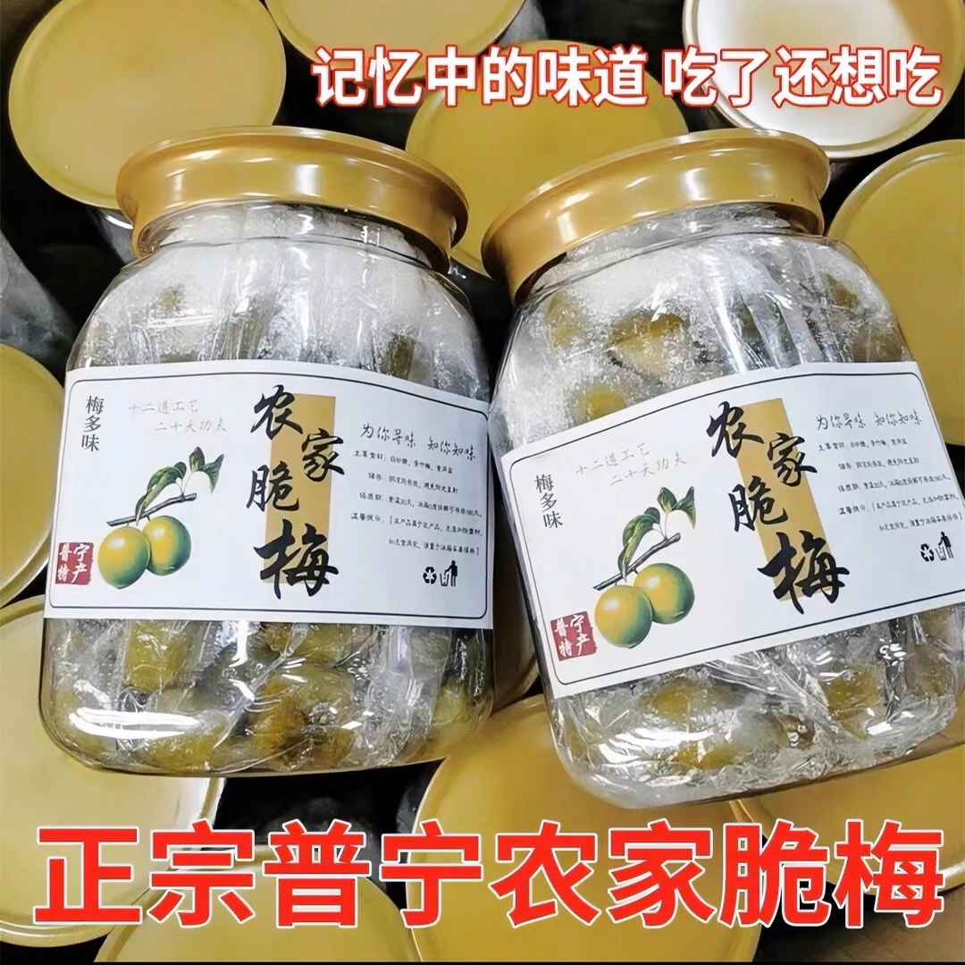 潮汕普宁特产农家清脆梅手工无添加办公室零食孕妇解腻酸甜腌脆梅