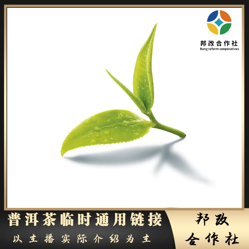 【邦改】普洱茶/通用临时链接/茶叶/回甘/普洱茶/03