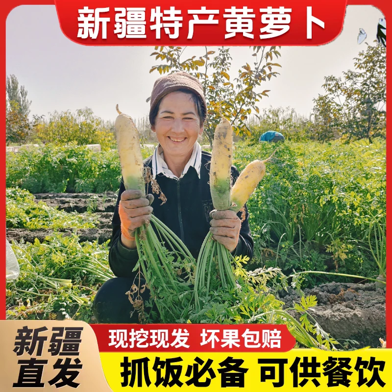 双十一新鲜黄萝卜新疆蔬菜手抓饭黄心胡萝卜美味宝宝辅食榨汁凉拌