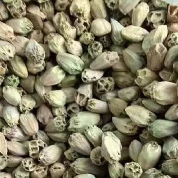 【滇品莲】现收山货香菇~非菇