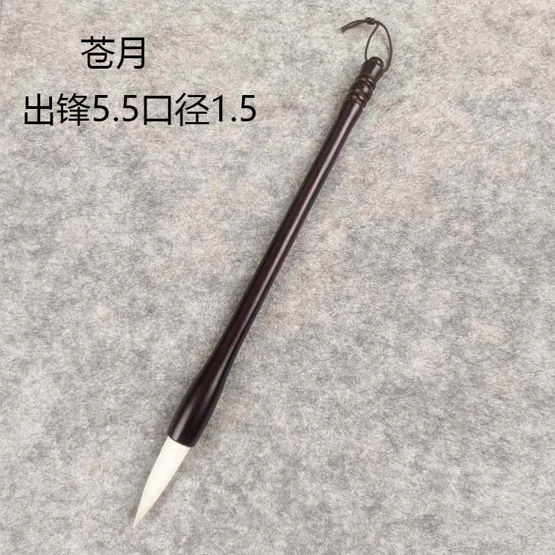 【苍月】小提斗大楷对联国画牡丹花头楷书行楷