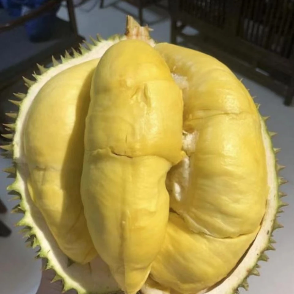 泰国金枕双A级空运树熟榴莲