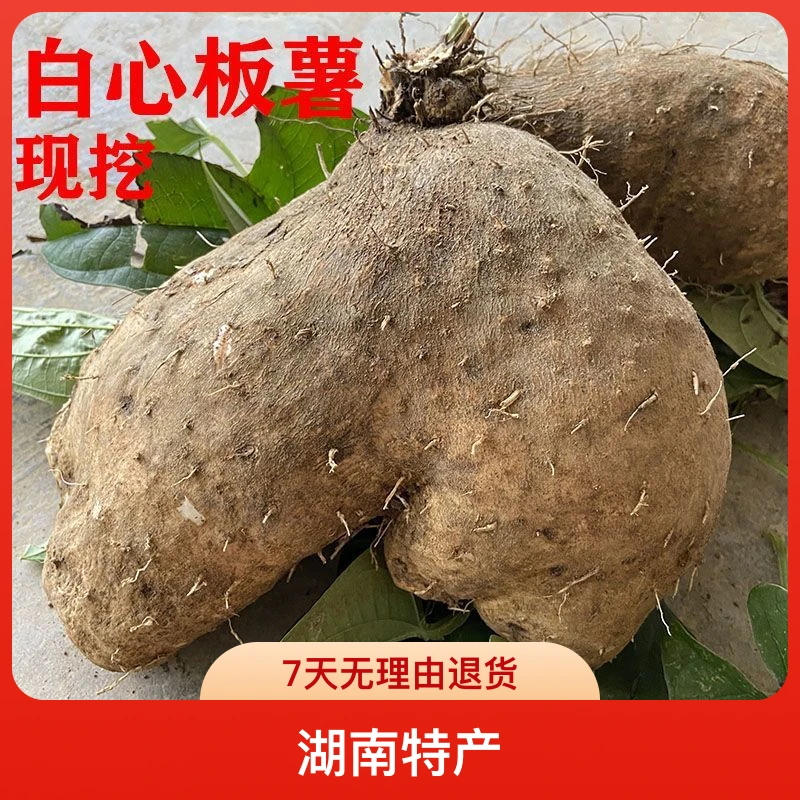 精选湖南脚板白薯鲜嫩光面新鲜山药应季蔬菜瓜果嫩白心脚板薯农家