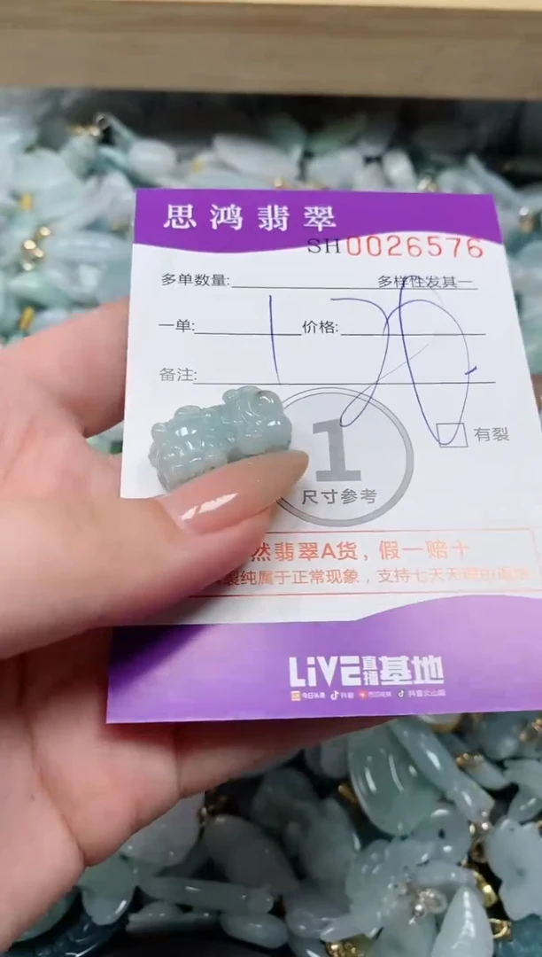 【闪购商品】翡翠颈饰未镶嵌闪购商品0026576
