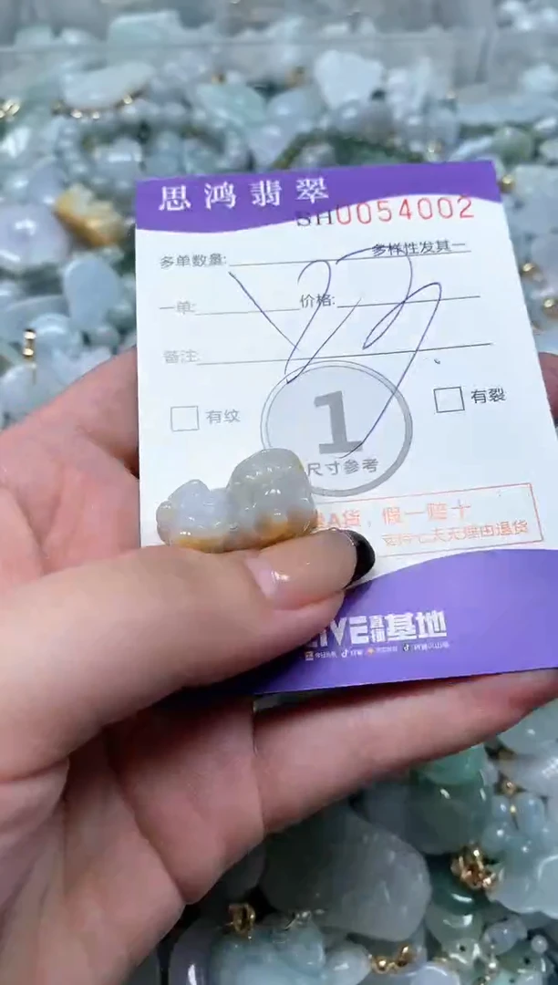 【闪购商品】翡翠颈饰未镶嵌闪购商品0054002