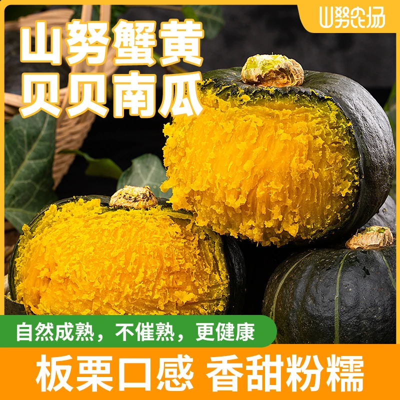 山努蟹黄贝贝南瓜粗粮辅食自然熟粉糯香甜板栗味轻食代餐