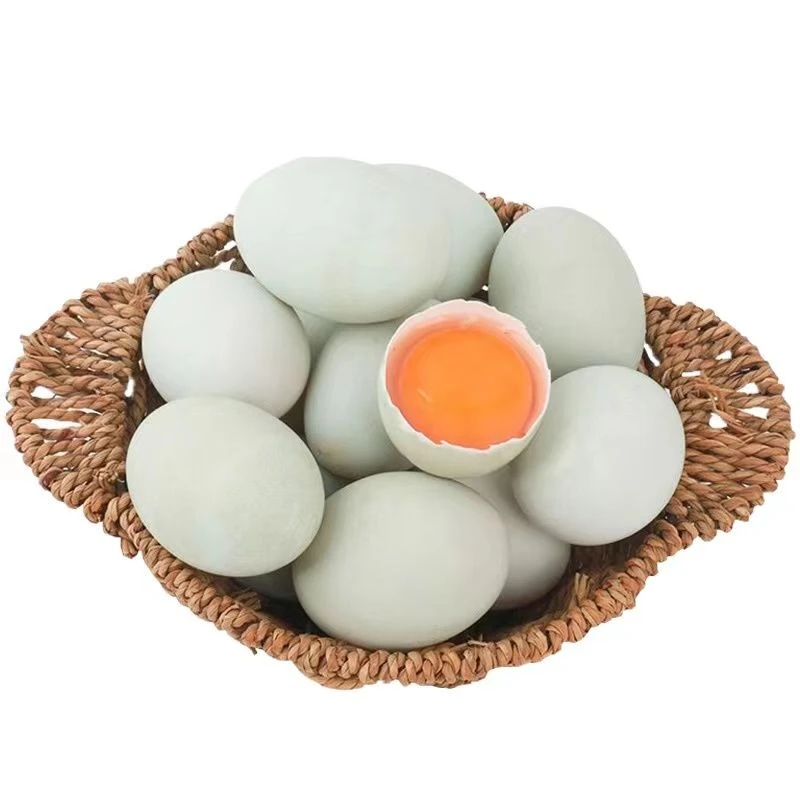 绿壳鸭蛋新鲜正宗散养生态纯天然鸭青壳鸭蛋大青皮鸭蛋