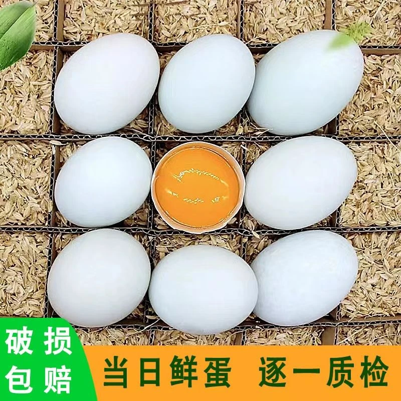 鸭蛋新鲜散养正宗农家20枚一箱东北绿壳番鸭种蛋缠丝鸭蛋农家散养