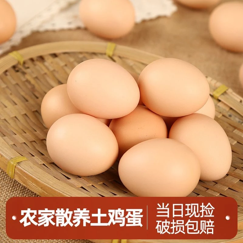 正宗农家散养土鸡蛋新鲜草鸡蛋笨鸡蛋营养蛋农家散养土鸡蛋新鲜林