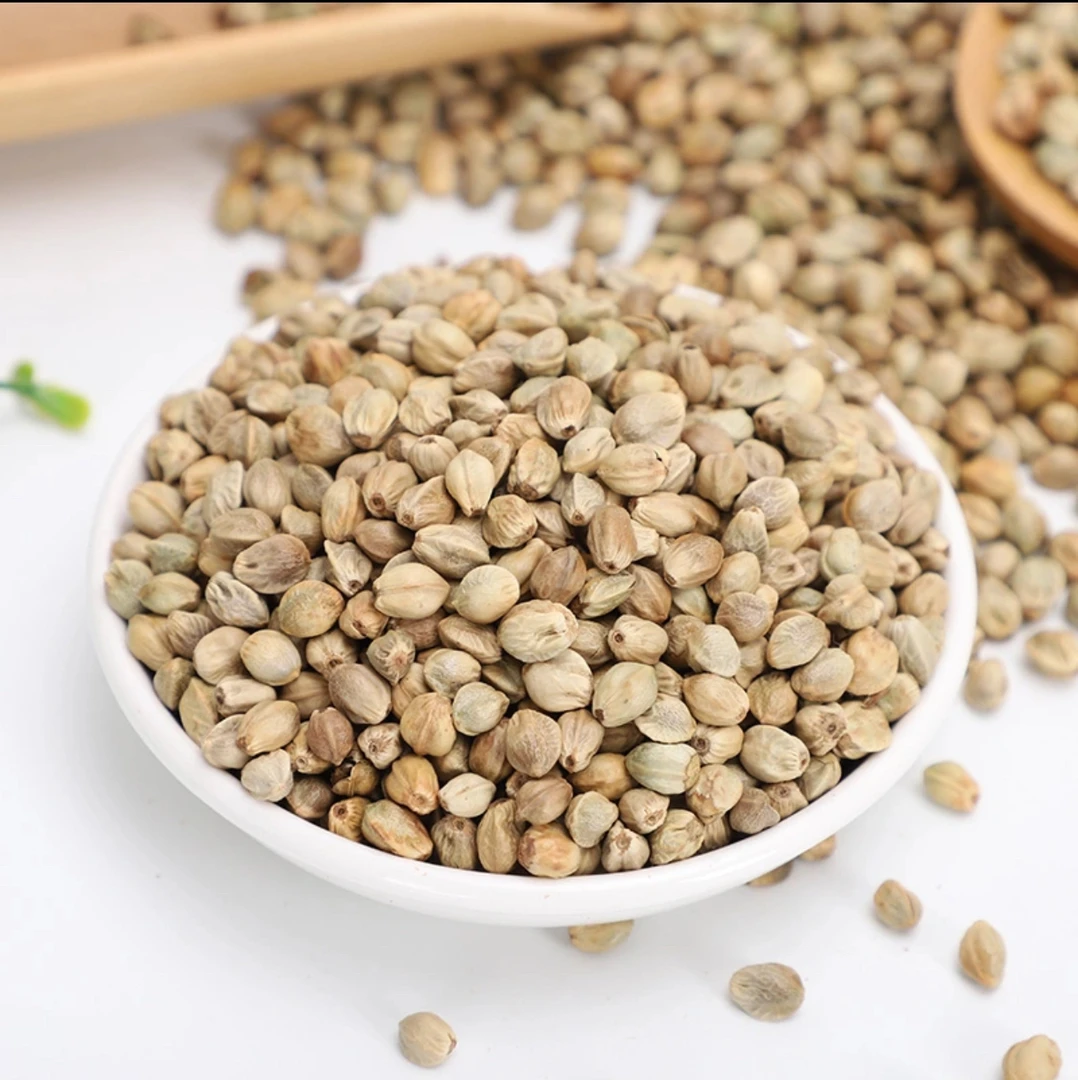 天水干炒熟大颗粒麻子500 g ／斤