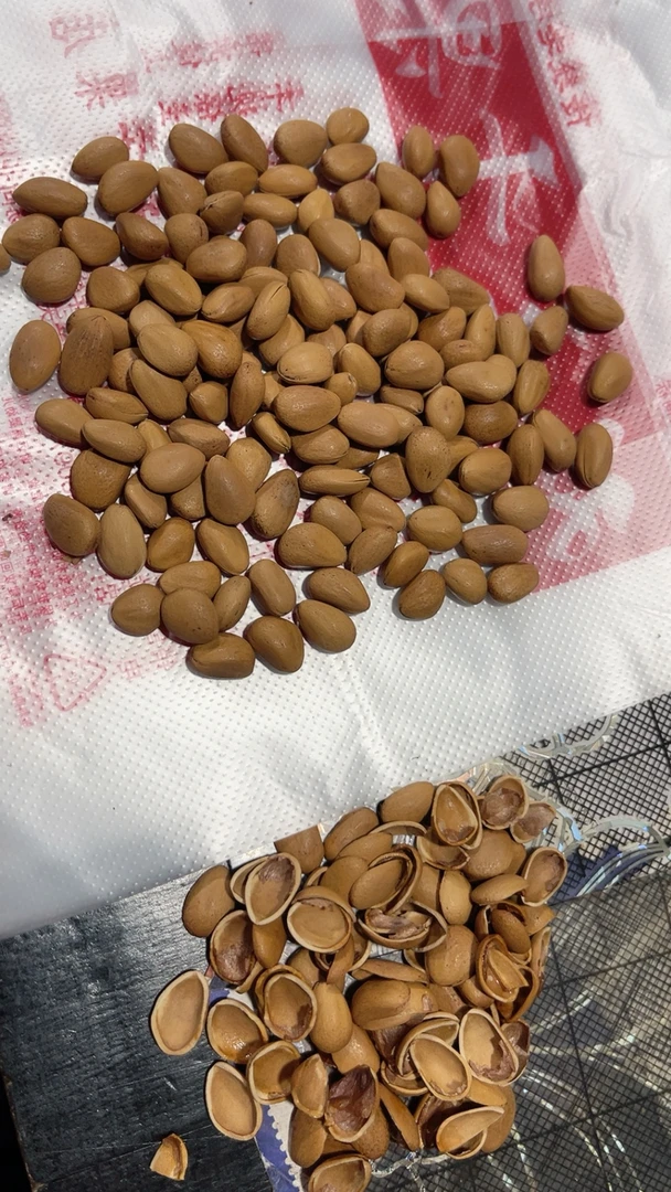 双王天水原味松子，不开口，办公室零食，休闲食品，500g/袋