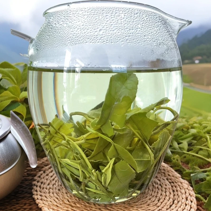 生态【商城高山茶】2024年雨前优质口粮大叶茶精品