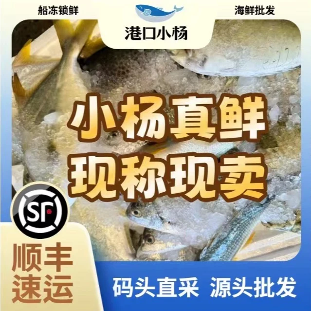 【杂鱼现称现卖】新鲜各种杂鱼 鱼肉鲜嫩肥美 新鲜顺丰速冻冷链发货