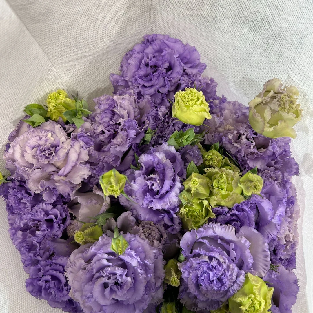 洋桔梗：农民浅紫洋桔梗1扎约800g