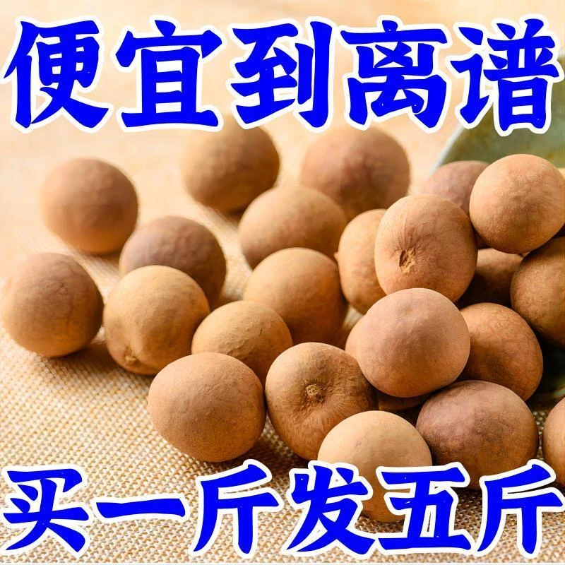 精选优质桂圆干大果龙眼干肉厚桂圆肉莆田泡水喝煲汤品质