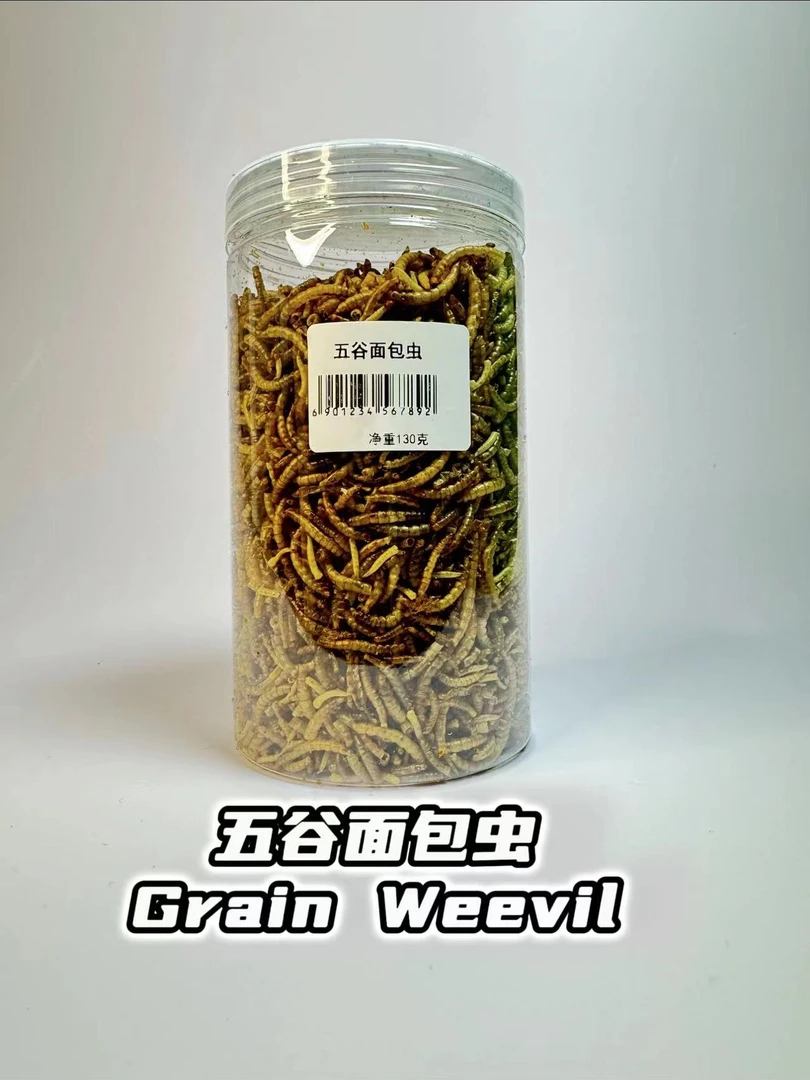 五谷面包虫鹦鹉零售新鲜无菌多种饲养微量元素