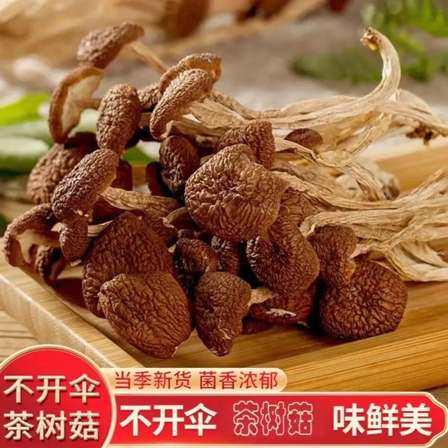 【农户精选】云南特产茶树菇 高泡发 菌香四溢 20g每袋正营养-LL