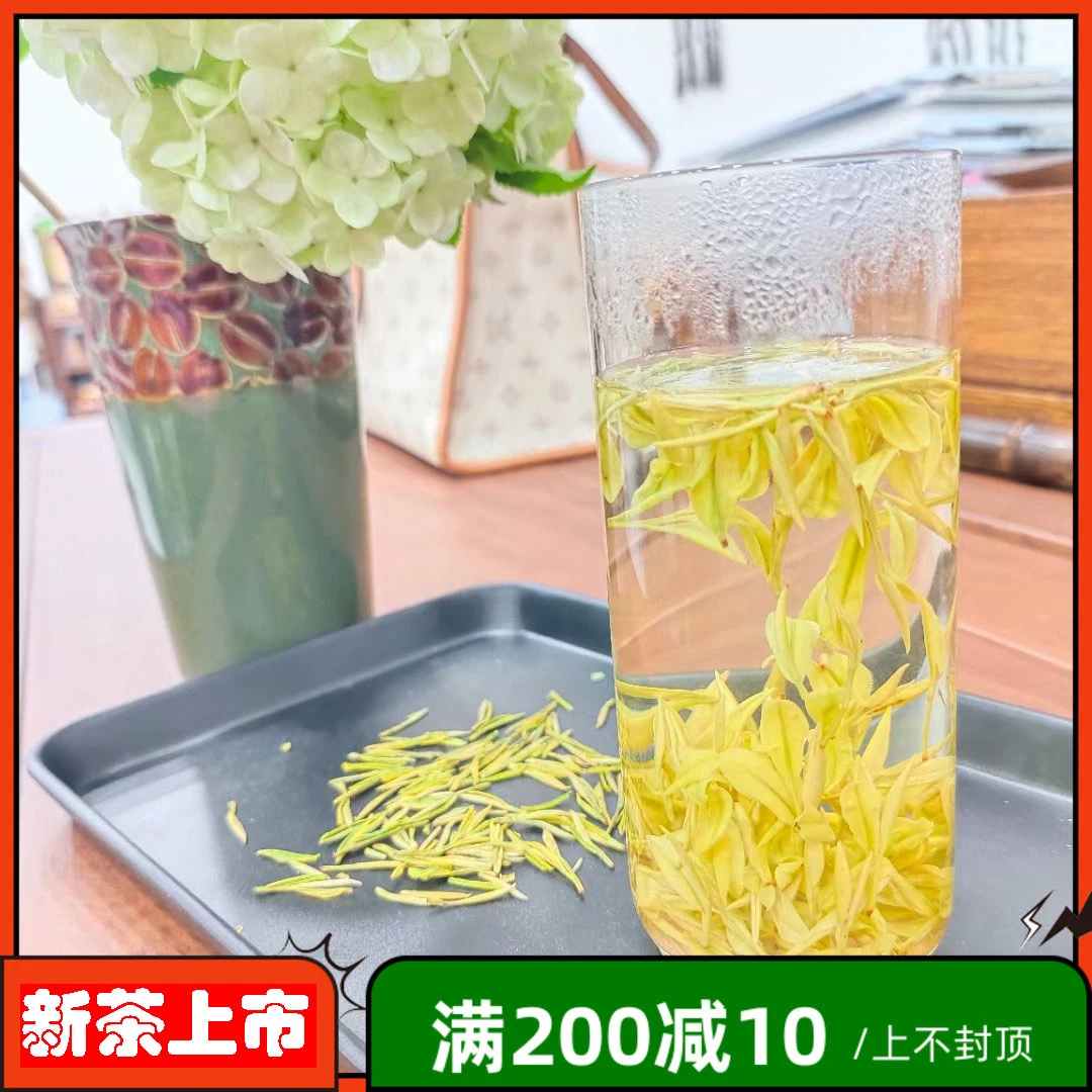 2025年新茶黄金芽奶白茶